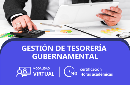 Gestión de Tesorería Gubernamental